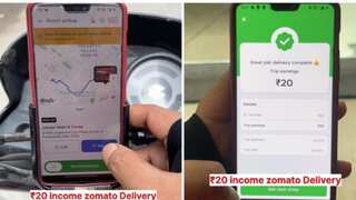 Man shows how much hard work is put in to earn ₹20 as Zomato delivery executive | Video