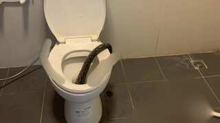 Bathroom scare! 12-foot snake bites a man while he was sitting on toilet