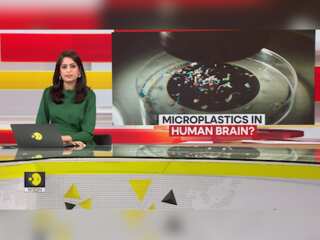 Microplastics found in human brain. What does this mean for you?