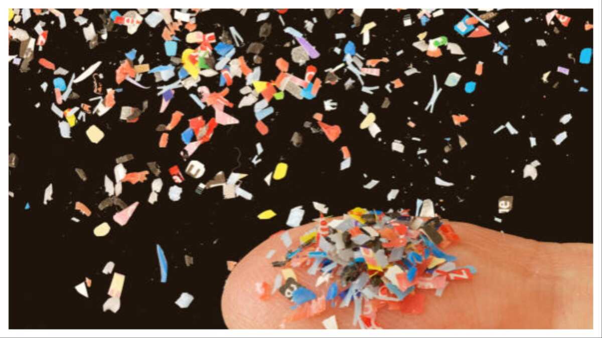 Microplastics have reached human brains, researchers declare global emergency Microplastics have reached human brains, researchers declare global emergency