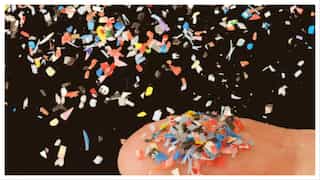 Microplastics have reached human brains, researchers declare global emergency