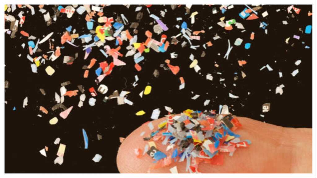Microplastics have reached human brains, researchers declare global emergency