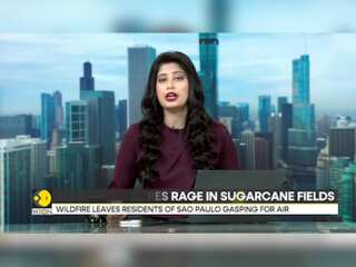 Brazilian wildfires rage in sugarcane fields