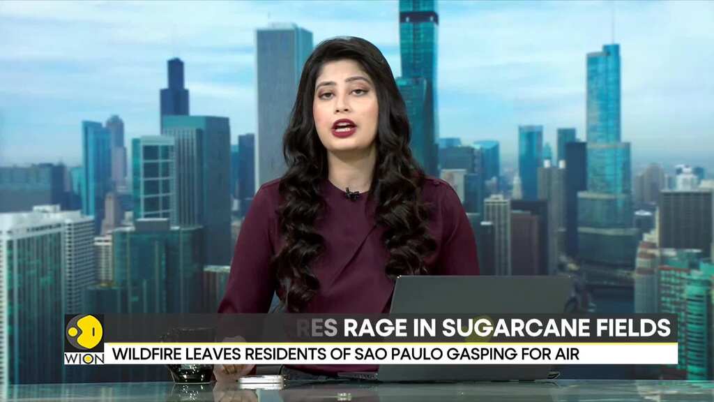 Brazilian wildfires rage in sugarcane fields