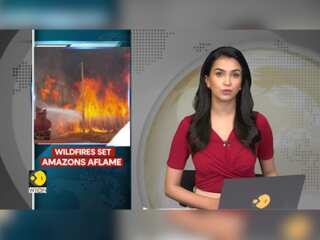 Wildfires cause havoc across Brazil & Bolivia