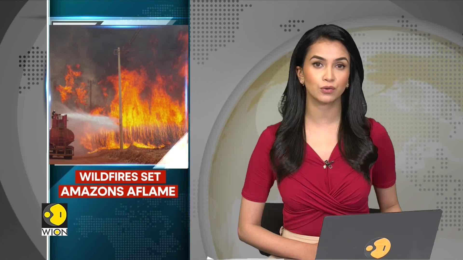 WionNews Video