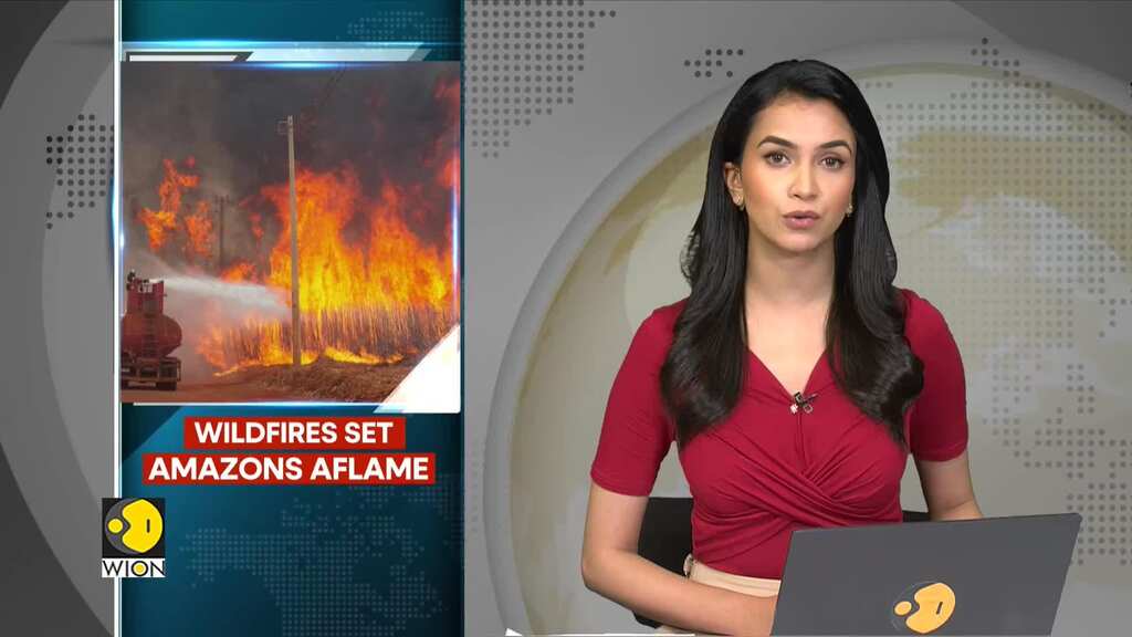 Wildfires cause havoc across Brazil & Bolivia