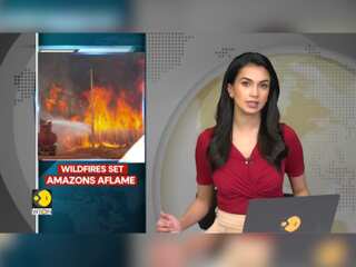Wildfires sweep through Sao Paulo State