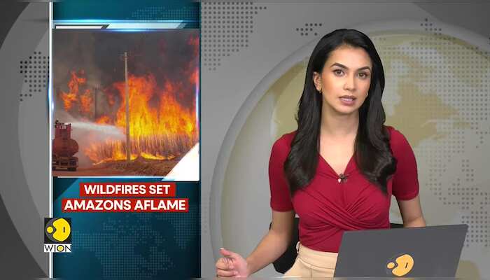 Wildfires sweep through Sao Paulo State