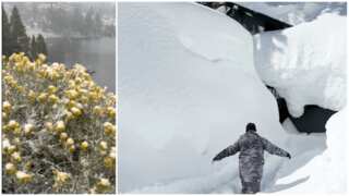 California dusted by earlier-than-usual snow in August for the first time in 20 years - Watch