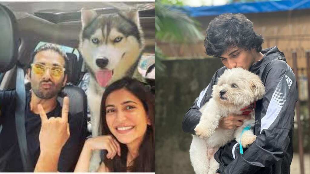 International Dog Day: Indian celebs' love letters for their furry friends