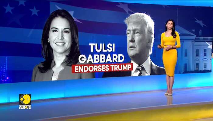 US Elections 2024: Former Democratic Presidential candidate Tulsi Gabbard endorses Donald Trump