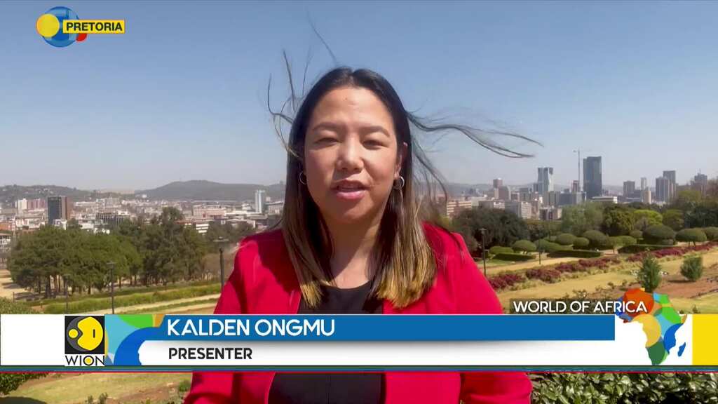 Zimbabwe's Otakukon Festival: Young Zimbabweans bring Japanese pop icons to life | World of Africa