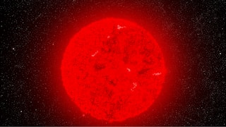 Milky Way cluster with monster stars million times brighter than sun stuns astronomers