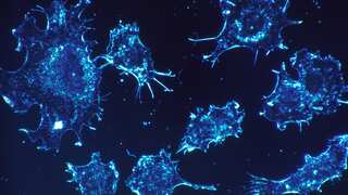 World is losing Y chromosomes slowly. Will it lead to the extinction of men?