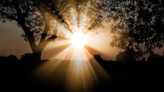 This start-up is gearing up to 'sell sunlight' after dark in California, customers express shock