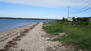 South Africa plans to bomb its island soon to eradicate 'killer' mice