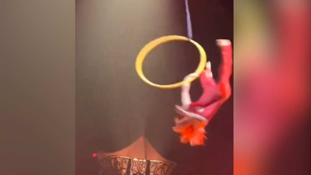 Watch: Dramatic circus stunt goes wrong as aerial hoop artist loses grip, falls down