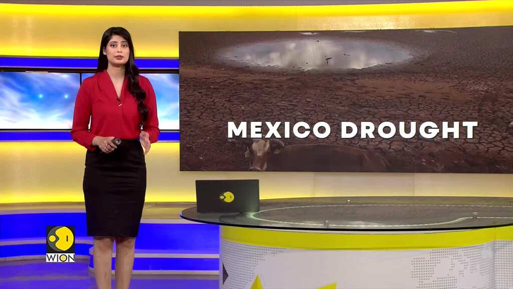 Drought in Mexico: Poor rains, farmer face tough times