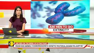 Gravitas: Survival of men and by extension, the human species at risk?