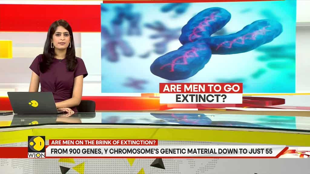 Gravitas: Survival of men and by extension, the human species at risk?