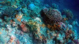 Are deep seas on Earth hiding alien life amid 'dark oxygen'? Study hints so