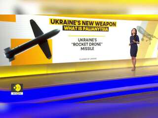 Russia-Ukraine War: Decoding Ukraine's new long-range 'Palianytsia' weapon