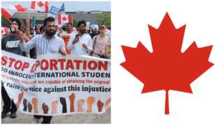 Canada ends work permits to those on visitor visas in yet another blow that could affect Indians