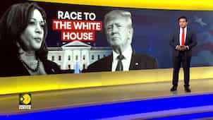 US Elections: Kamala Harris widens her lead over Trump with boost from women: Poll