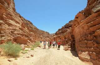 Three Arab Israeli tourists, two Egyptian injured after fight in Egypt's Taba