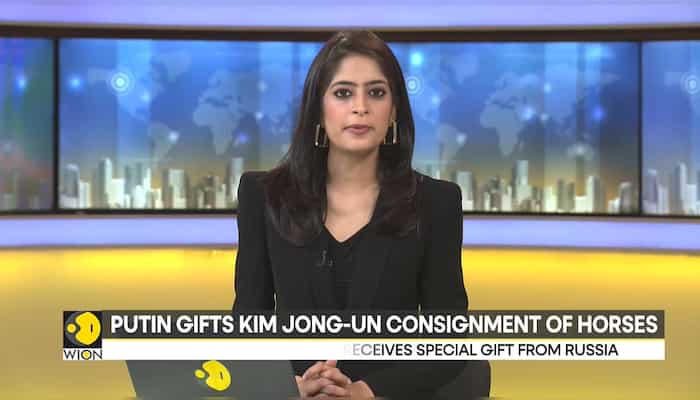 Putin gifts Kim Jong-un consignment of horses