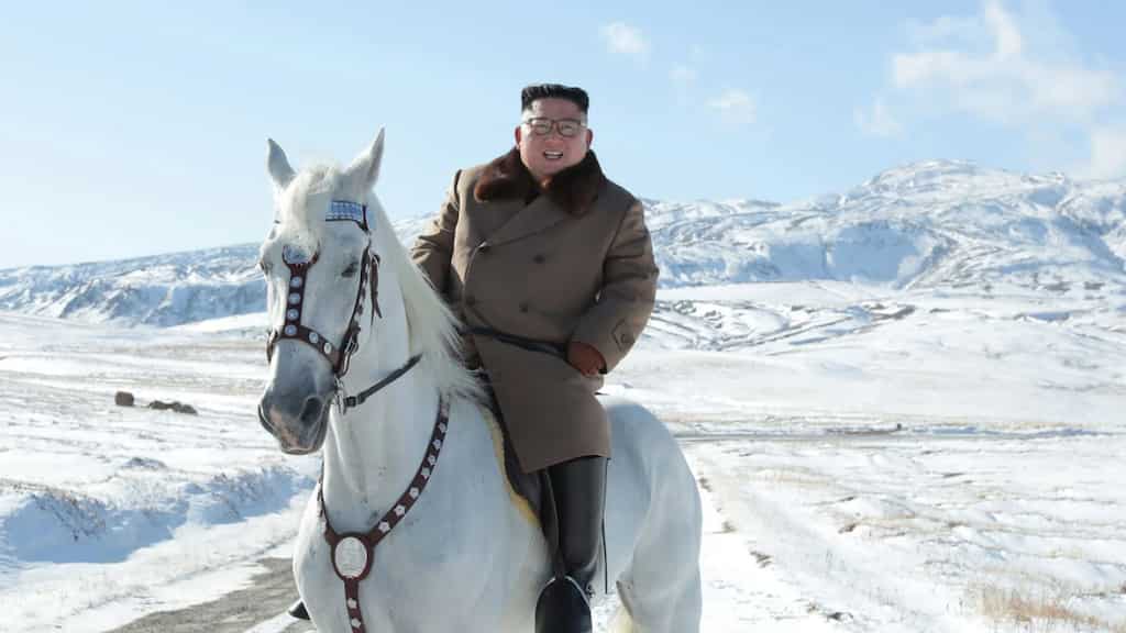 North Korea's Kim Jong Un receives new consignment of horses from Russia