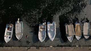 Greece declares state of emergency over flood of dead fish