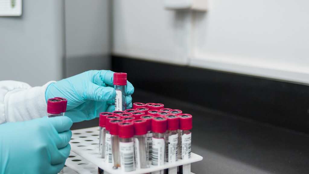 THIS blood test can detect deadly brain cancer in one hour. Here's how