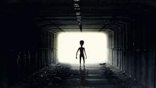 Aliens are hiding here on Earth and Pentagon is aware of it, claims former US intelligence officer
