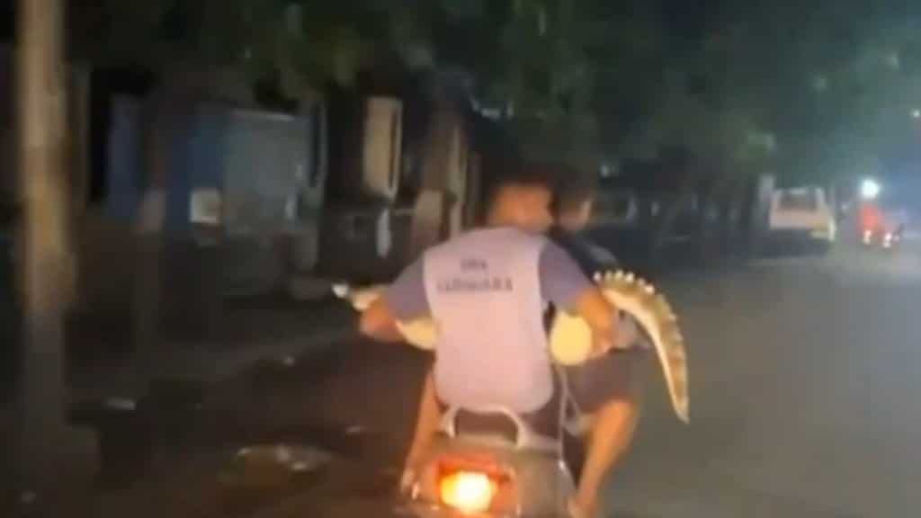 Watch: Video of two men carrying crocodile in lap on scooter amid Gujarat floods goes viral