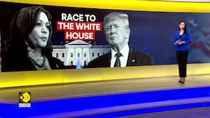 US Elections 2024: Harris campaign to begin 'reproductive freedom' bus tour in Florida