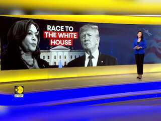 US Elections 2024: Harris campaign to begin 'reproductive freedom' bus tour in Florida