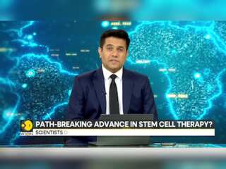 Lab-grown blood stem cells could replace bone marrow transplants: Report