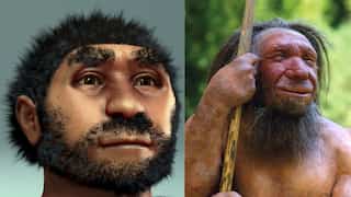 139,000-year-old stone tools discovered in Andhra Pradesh. Who made them?
