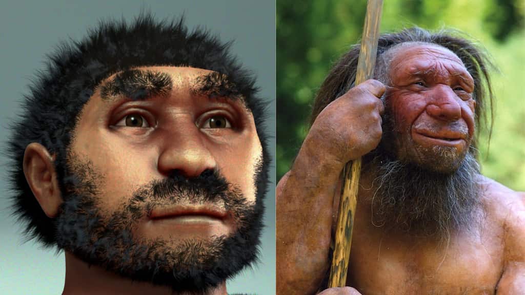 139,000-year-old stone tools discovered in Andhra Pradesh. Who made them?