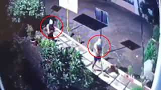 Maharashtra: 'Underwear' gang steals gold worth $5,954 with some bananas in Nashik