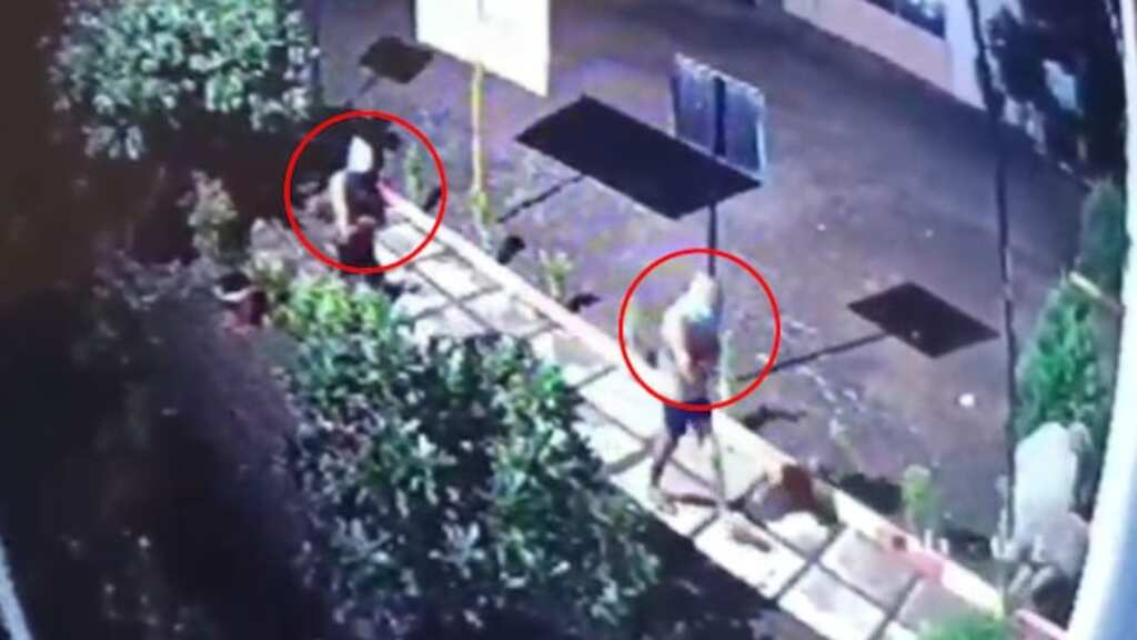Maharashtra: 'Underwear' gang steals gold worth $5,954 with some bananas in Nashik