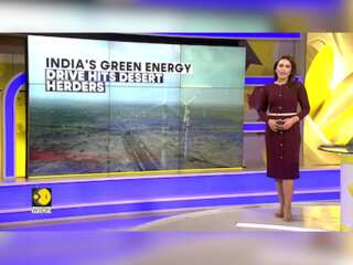India's green energy drive hits desert herders
