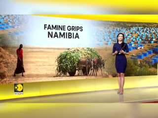 Namibia to kill over 700 wild animals to feed its people amid severe drought