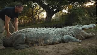 Meet world’s oldest crocodile, Henry – a 16ft monster who has six ‘wives’ and 10,000 babies