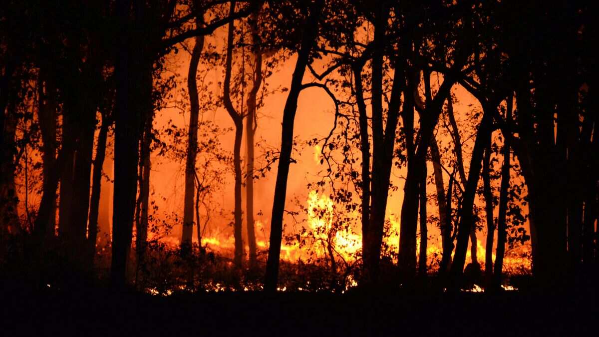 Greek woman lands in trouble for intentionally starting wildfires to flirt with firefighters Greek woman lands in trouble for intentionally starting wildfires to flirt with firefighters