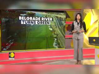Pollution, heatwave impact Serbian river