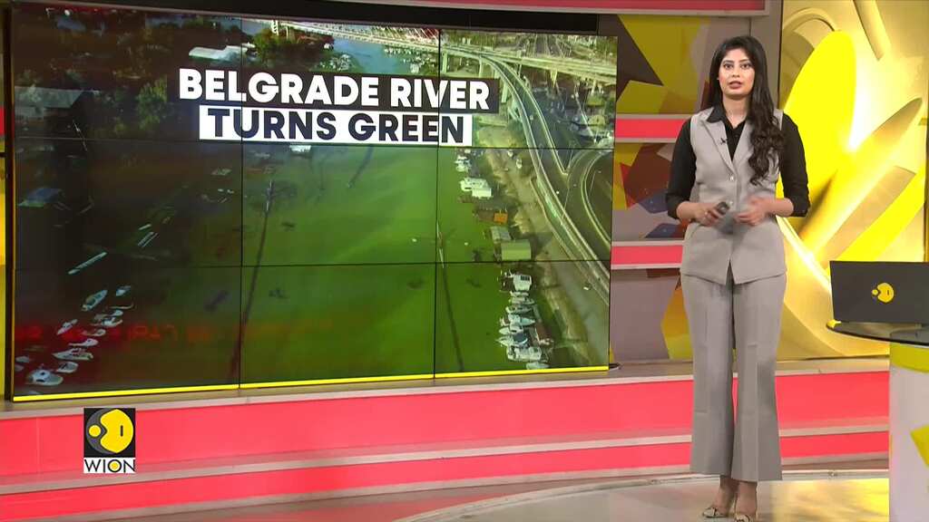 Pollution, heatwave impact Serbian river