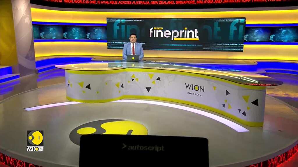 Viral video shows Giant Panda enjoying alone-time at China's Chengdu Research base